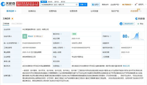 浩云科技等聯(lián)合在武漢成立能源科技公司，聚焦工程與技術研究試驗發(fā)展