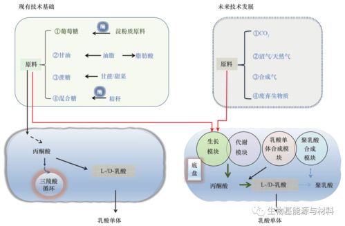 我國聚乳酸產(chǎn)業(yè)發(fā)展現(xiàn)狀與對(duì)策研究